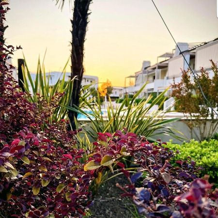 Residence Jesolo Lido Centro Con Piscina 외부 사진
