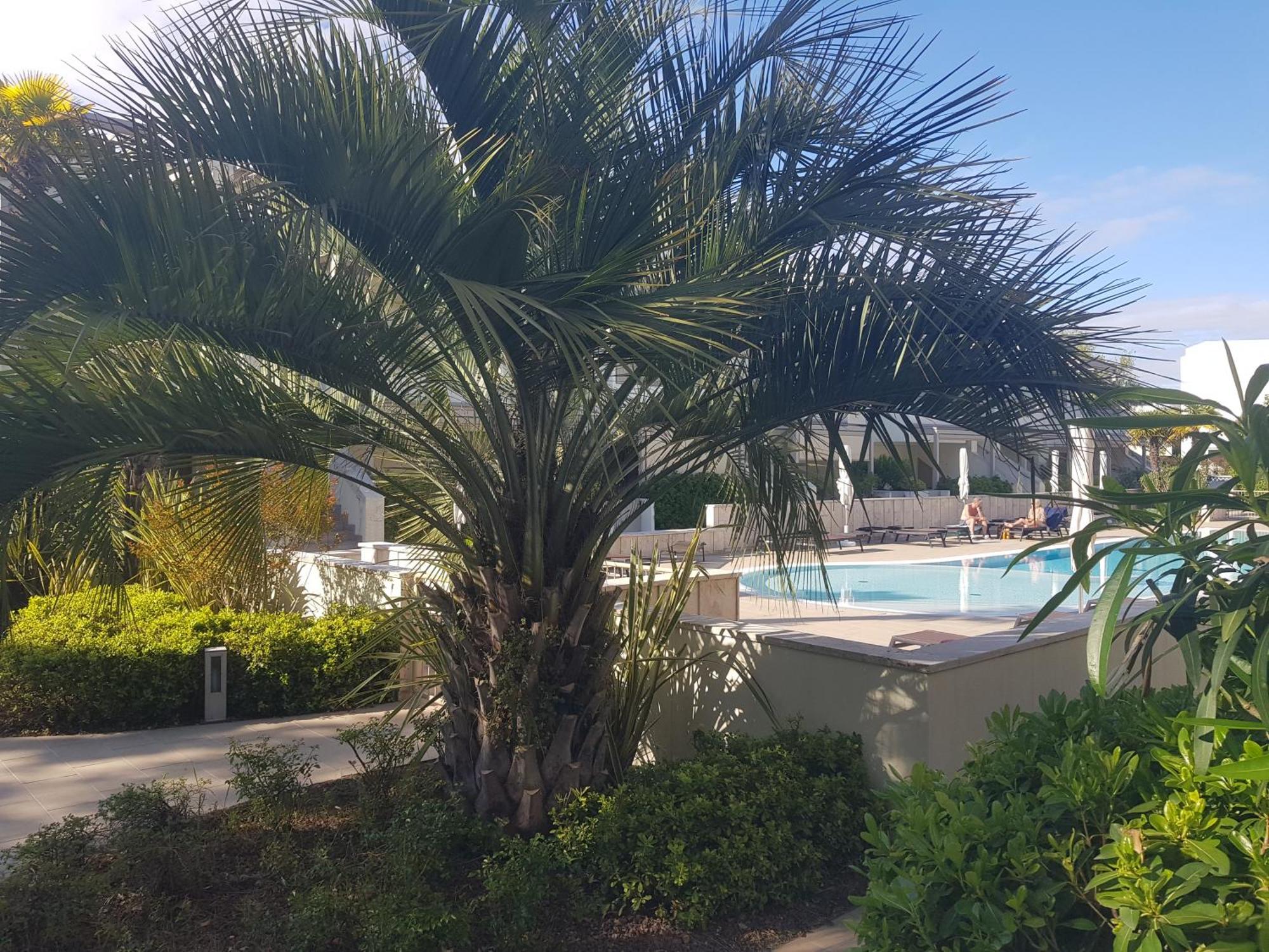 Residence Jesolo Lido Centro Con Piscina 외부 사진